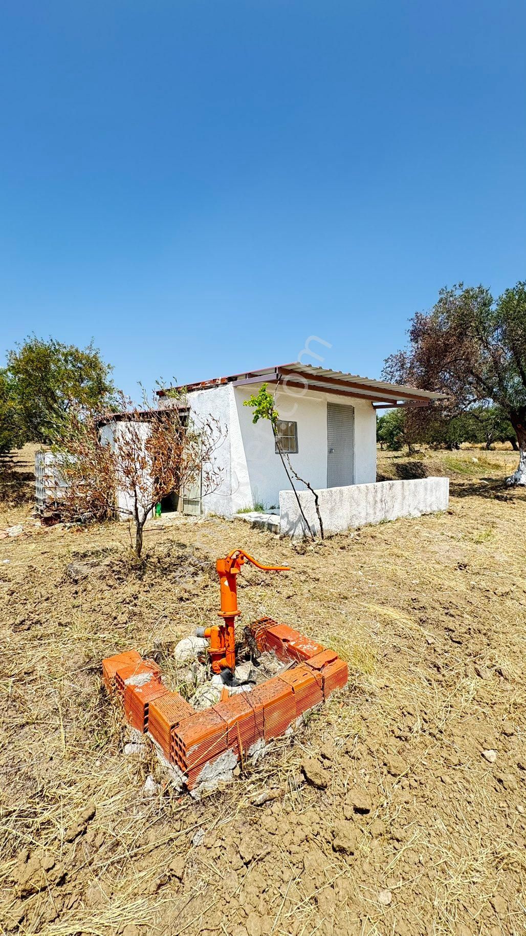 Beyaz Gayrımenkulden Saruhanlı Kepenekli Mh 2,750 M2 Süper Zeytinlik - Görsel 28