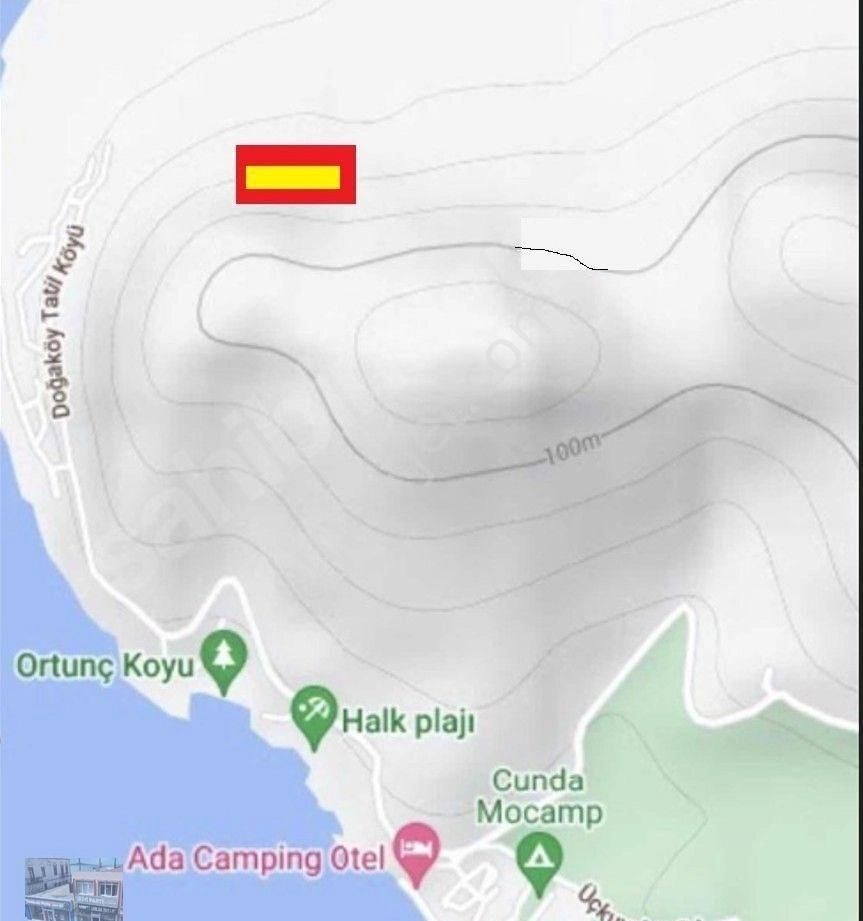 Ayvalık Cunda Da Satılık 2,974 Metre Kare Zeytinlik - Görsel 3