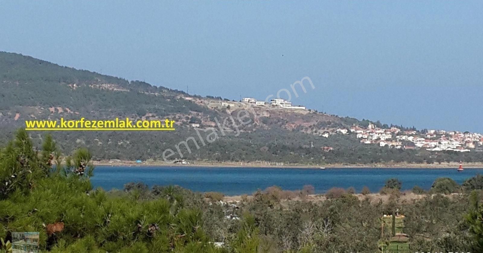 Balıkesir Ayvalık Sarımsaklı Da Satılık 24 Donum Arsa. - Görsel 4