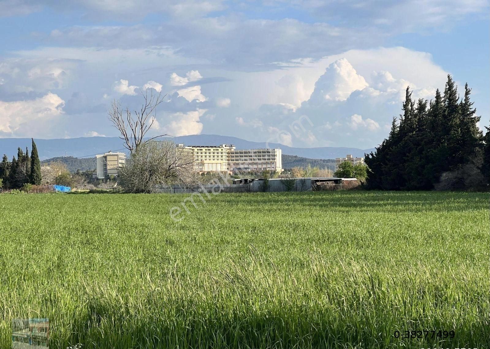 Balıkesir Burhaniye De Satılık 1617 Metre Kare Villa İmarlı Arsa