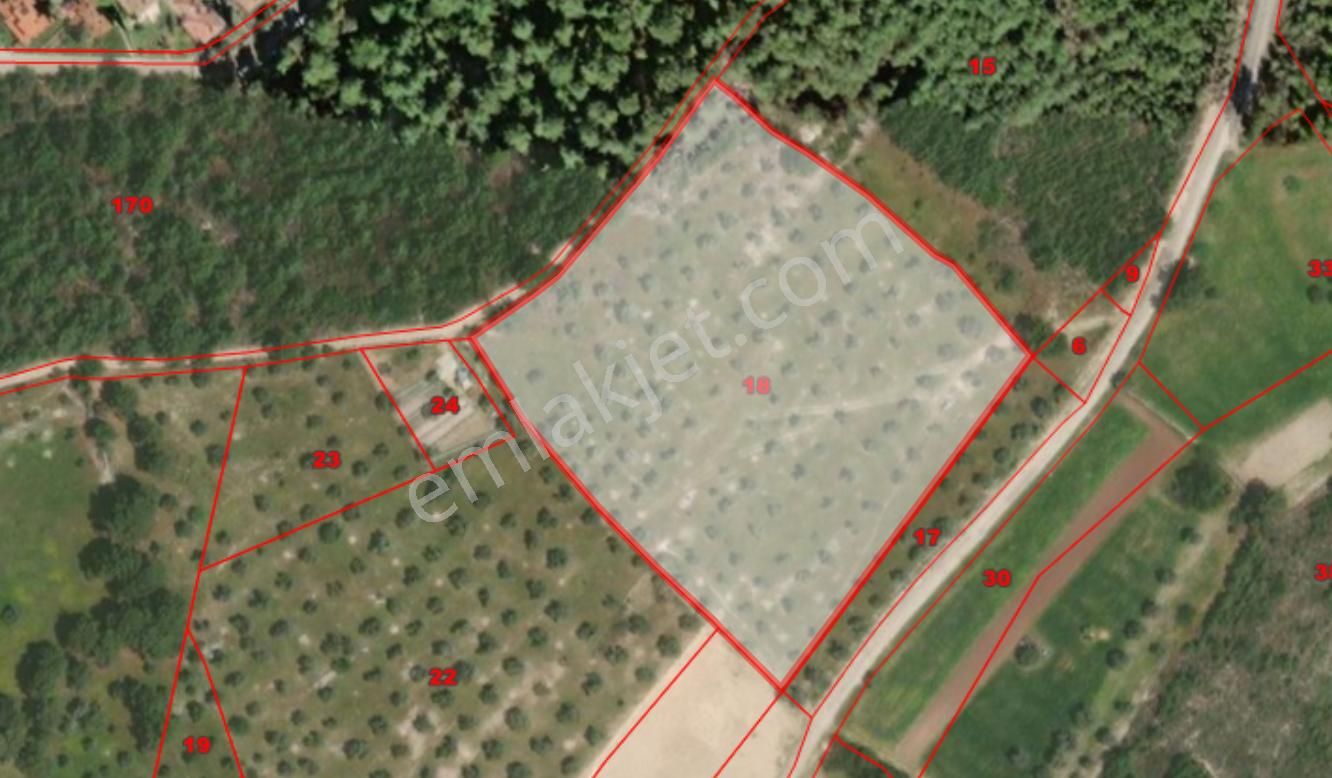 Elvan Özçelik'den Kazıklıbucak'da Denize Çok Yakın Satılık Fırsat Tarla - Görsel 9