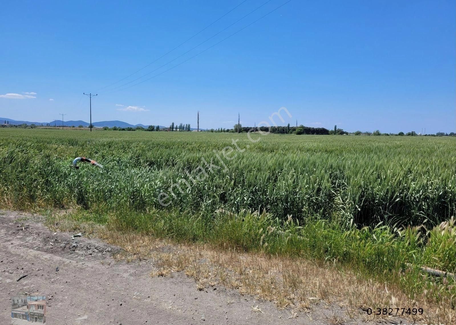 Balıkesir Burhaniye De Satılık 34,392 Metre Kare Muhtelif Arsa - Görsel 3