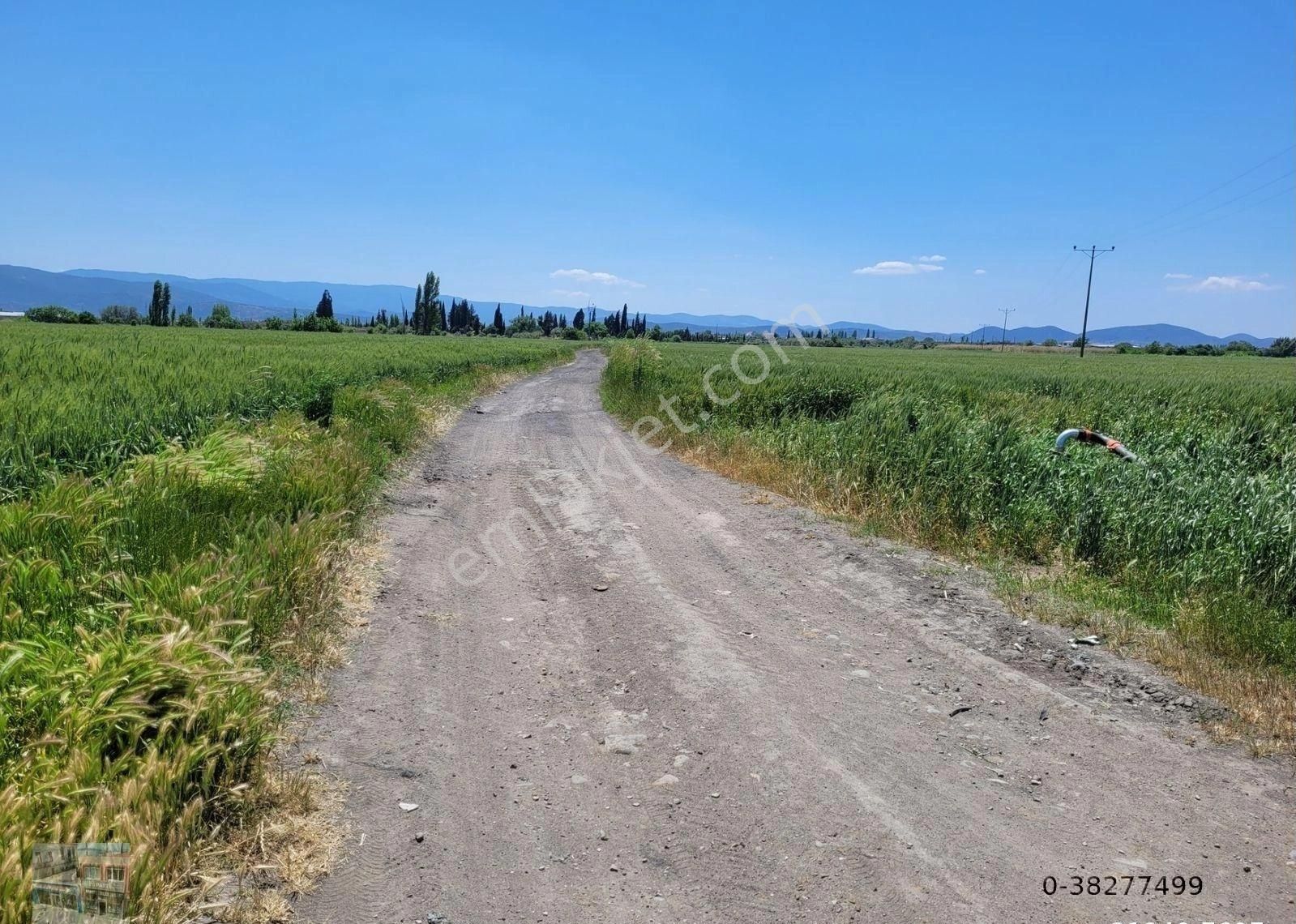 Balıkesir Burhaniye De Satılık 34,392 Metre Kare Muhtelif Arsa - Görsel 5