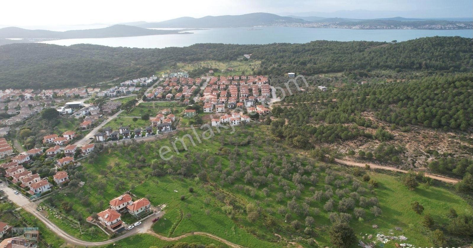 Balıkesir Ayvalık Camlık Ta Satılık 2540 Metre Kare Villa İmarlı Arsa - Görsel 3