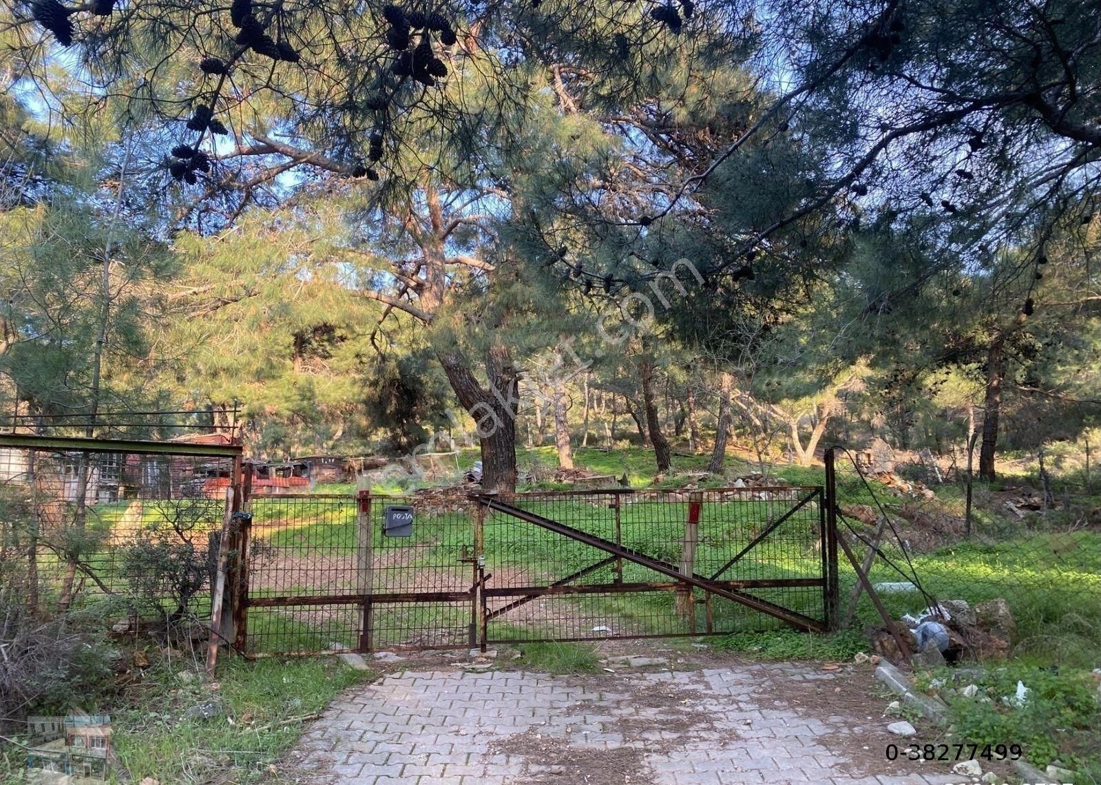 Balıkesir Ayvalık Camlık Ta Satılık 1540 Metre Kare Arsa - Görsel 7