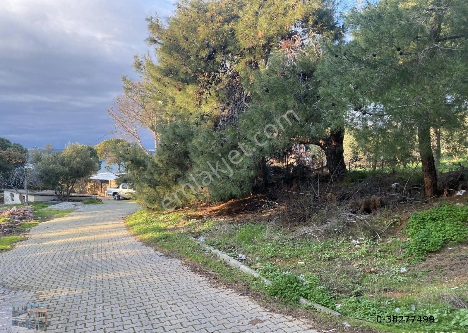 Balıkesir Ayvalık Camlık Ta Satılık 1540 Metre Kare Arsa - Görsel 10