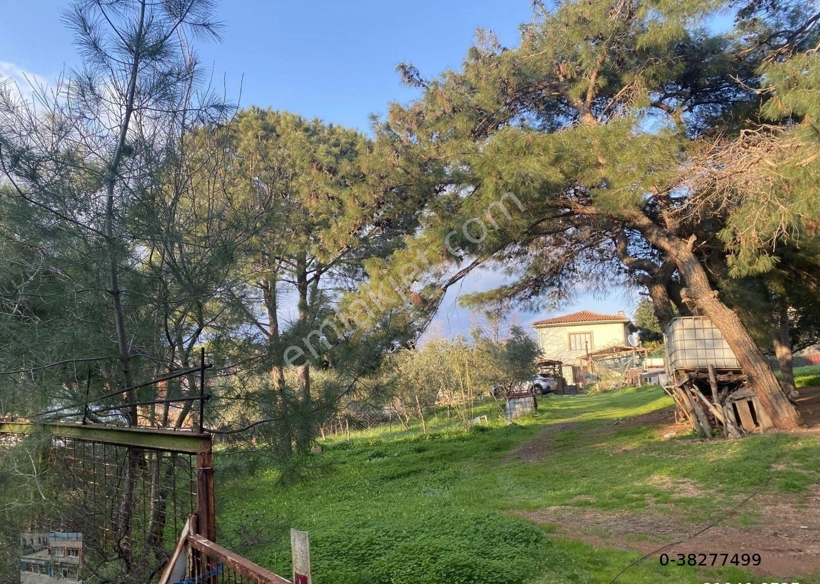 Balıkesir Ayvalık Camlık Ta Satılık 1540 Metre Kare Arsa - Görsel 4