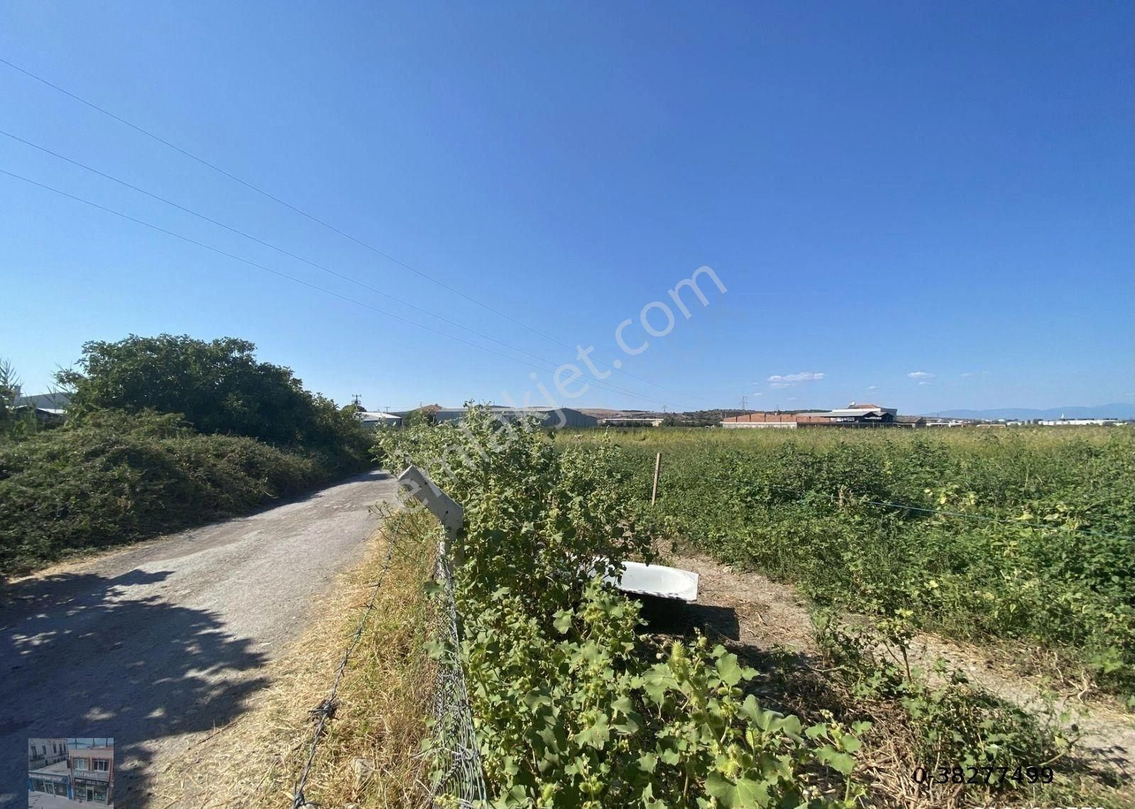 Balıkesir Ayvalık Ta Satılık 12,390 Metre Kare Arsa. - Görsel 7