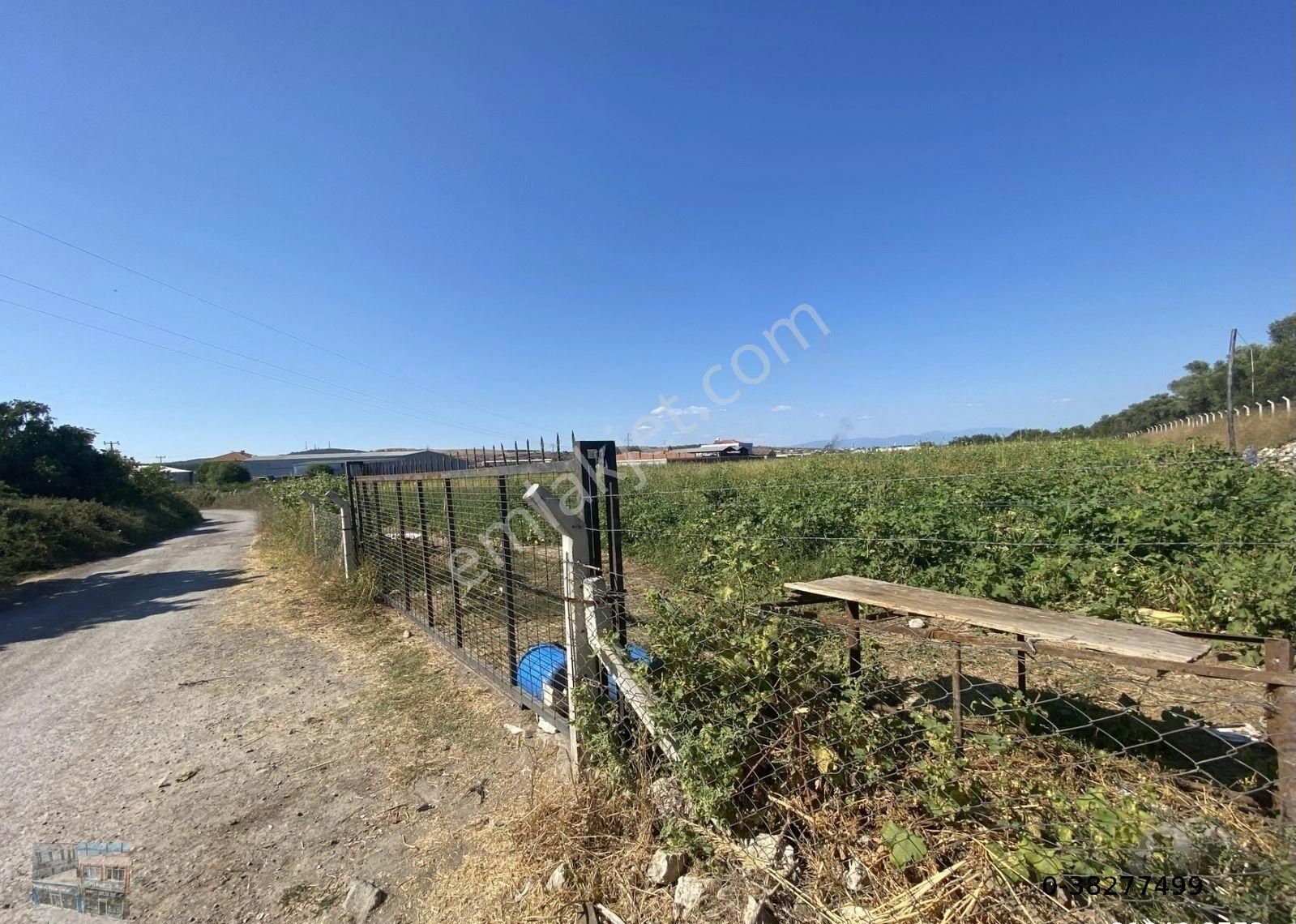 Balıkesir Ayvalık Ta Satılık 12,390 Metre Kare Arsa. - Görsel 4