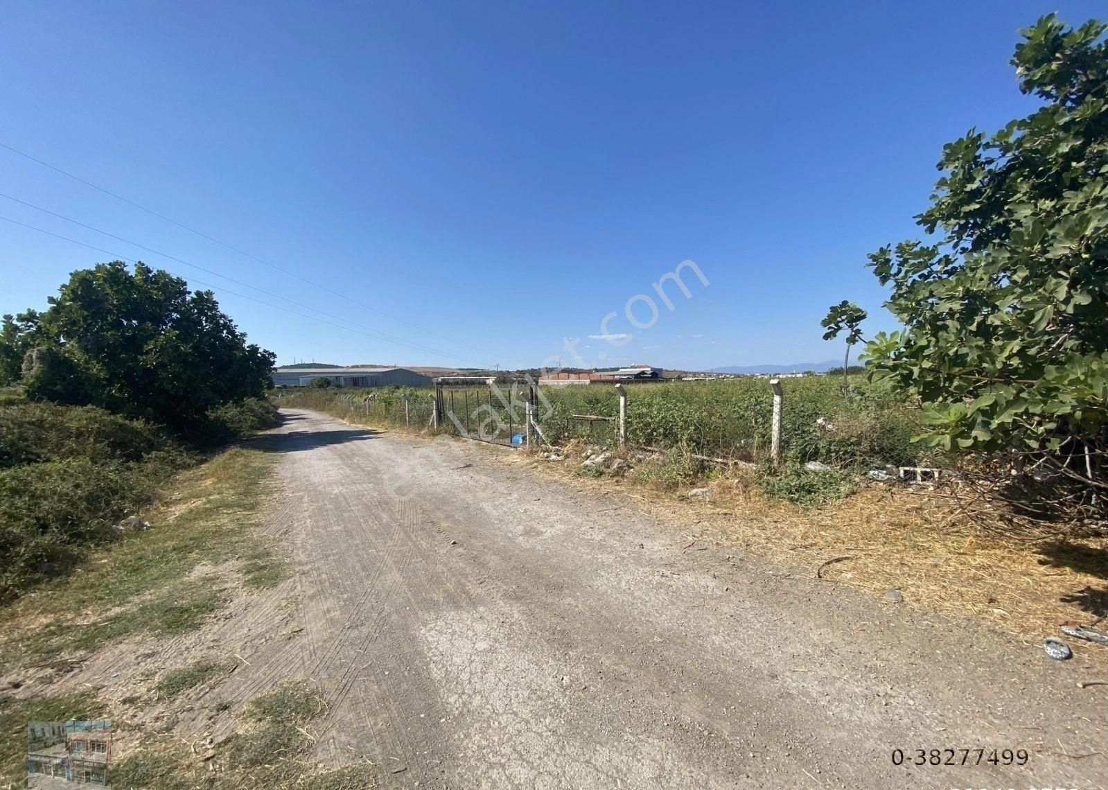 Balıkesir Ayvalık Ta Satılık 12,390 Metre Kare Arsa. - Görsel 10