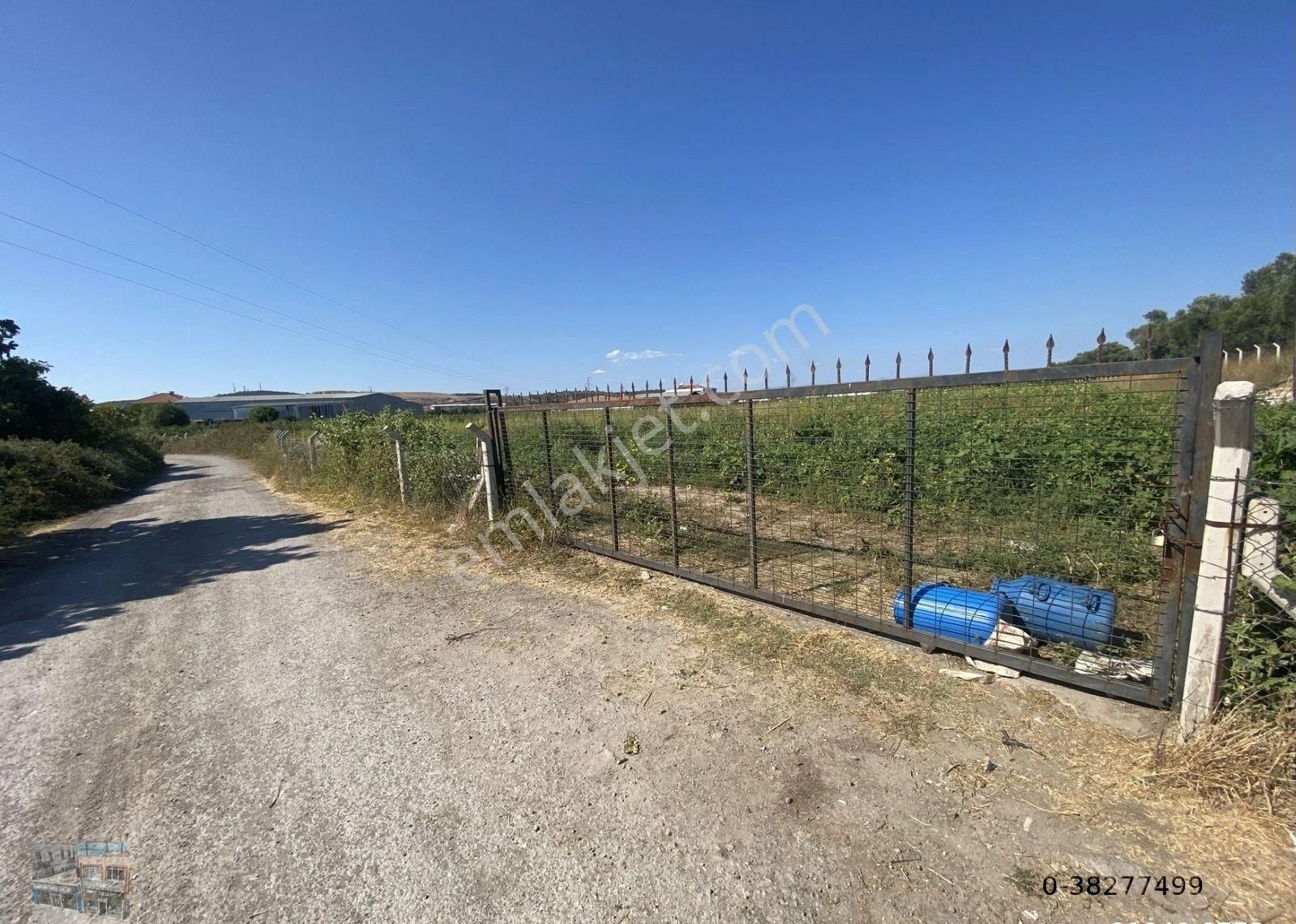 Balıkesir Ayvalık Ta Satılık 12,390 Metre Kare Arsa. - Görsel 9