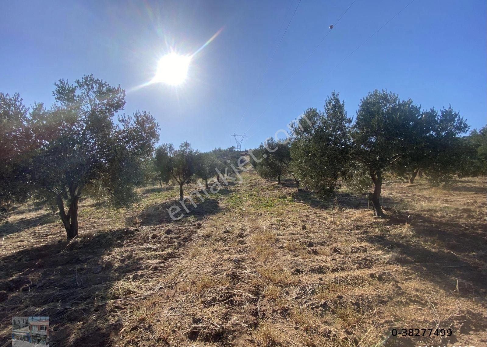 Balıkesir Burhaniye De Satılık 85,799 Metre Kare Arazi - Görsel 3