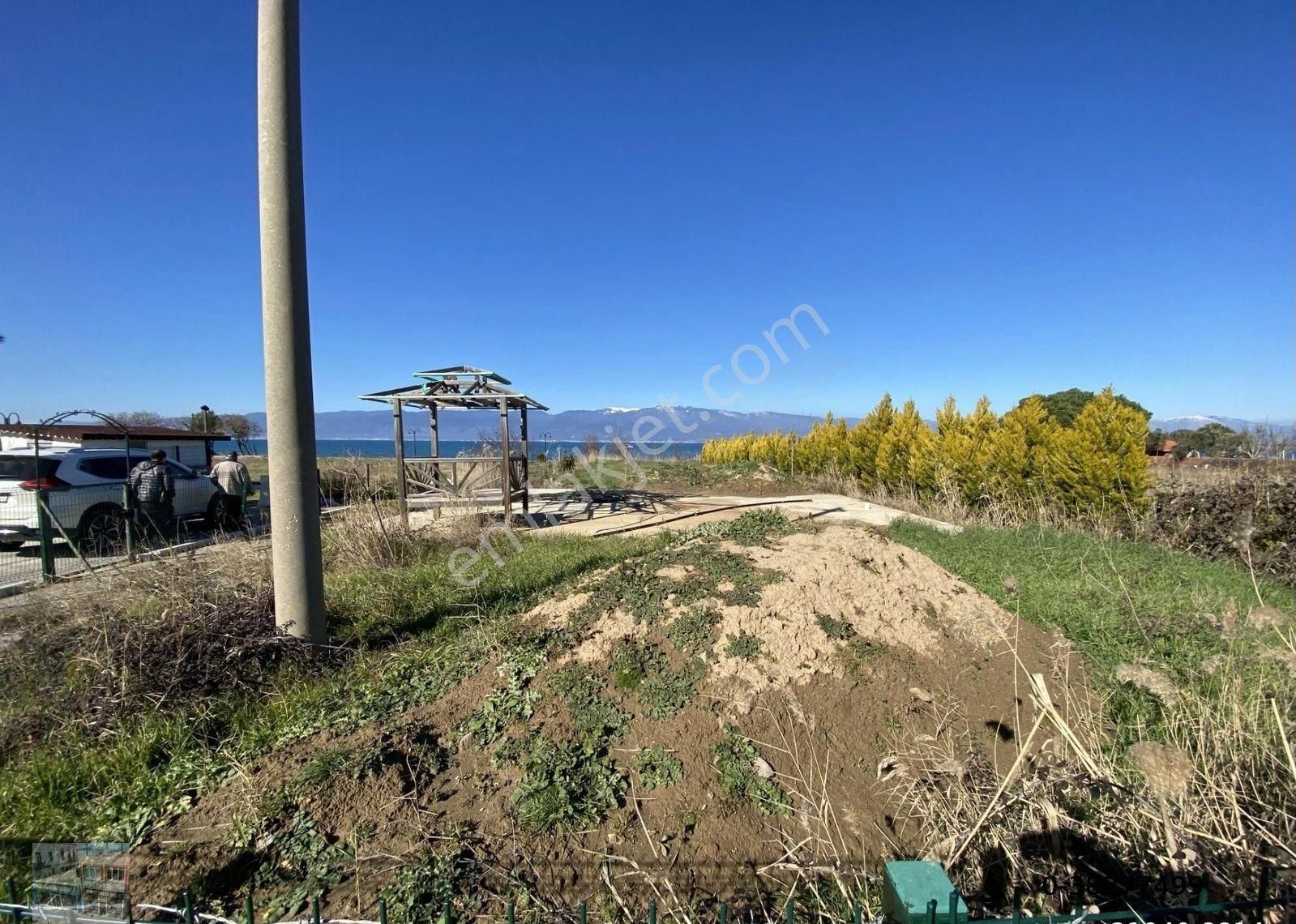 Balıkesir Burhaniye De Satılık 1.155 Metre Kare Arsa.denize Sıfır. - Görsel 9