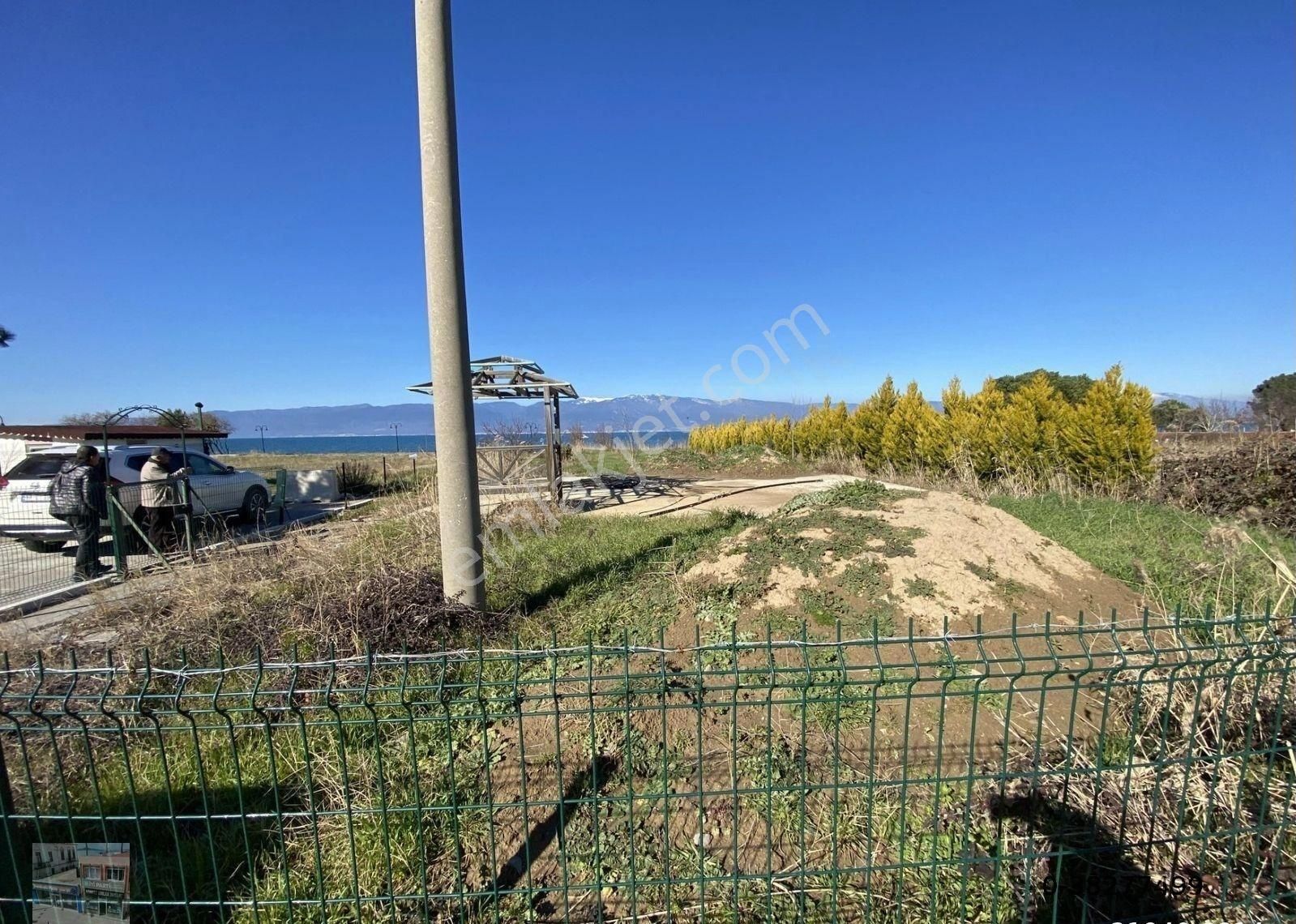 Balıkesir Burhaniye De Satılık 1.155 Metre Kare Arsa.denize Sıfır. - Görsel 7