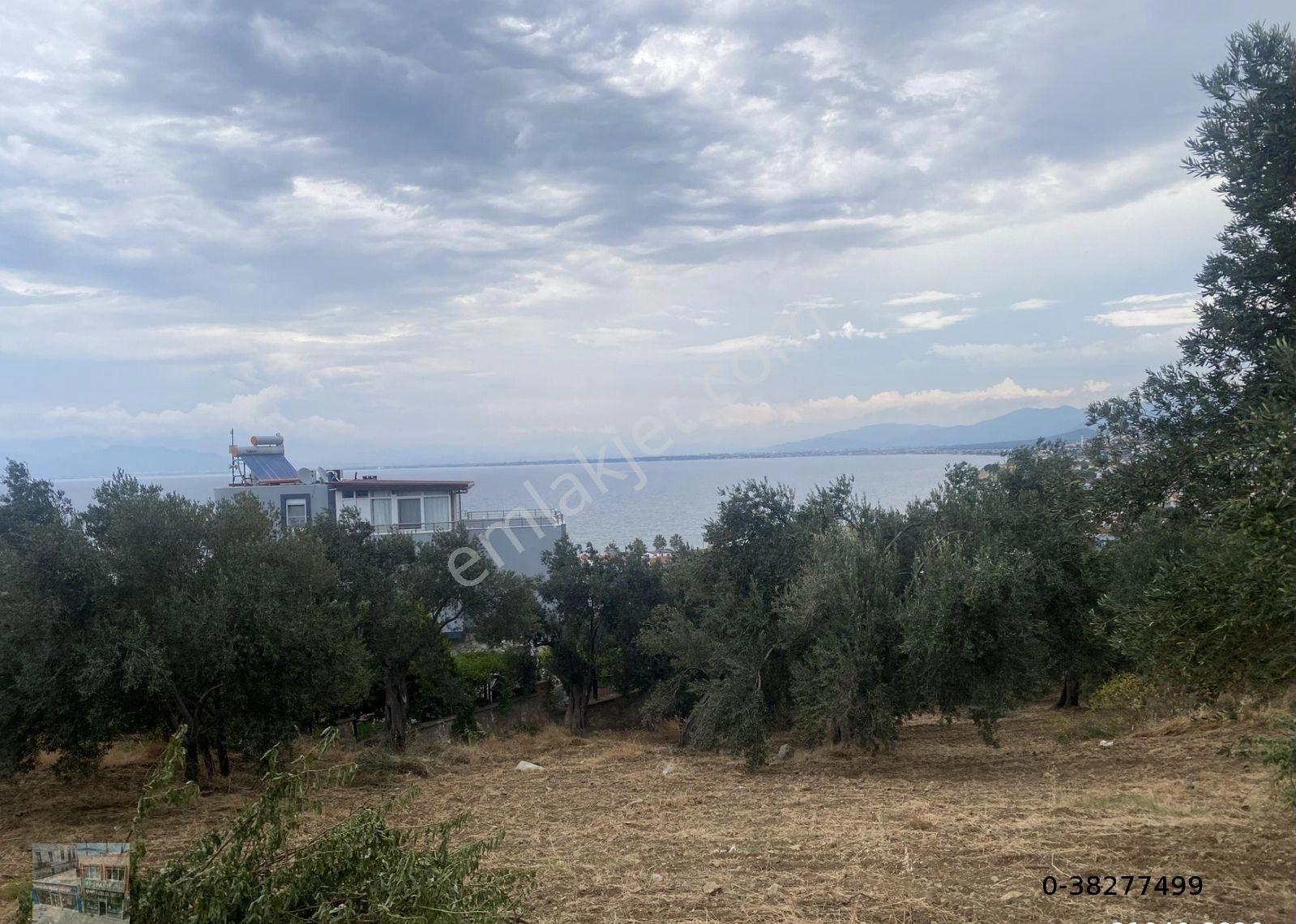 Balıkesir Burhaniye De Satılık 865 Metre Kare Villa İmarlı Arsa.deniz Manzaralı - Görsel 8