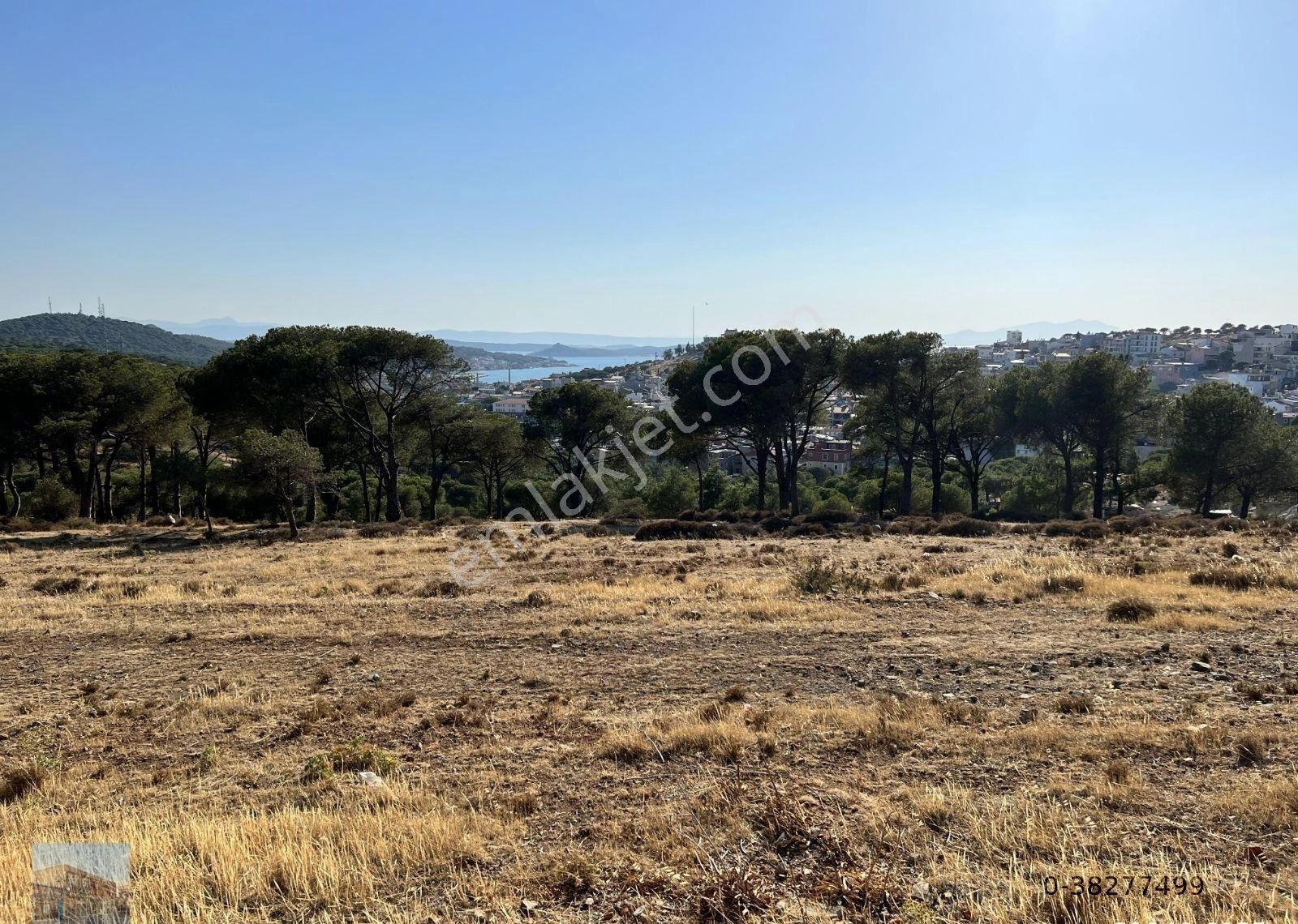 Balıkesir Ayvalık Ta Satılık 18,000 Metre Kare İmarlı Arsa. - Görsel 9