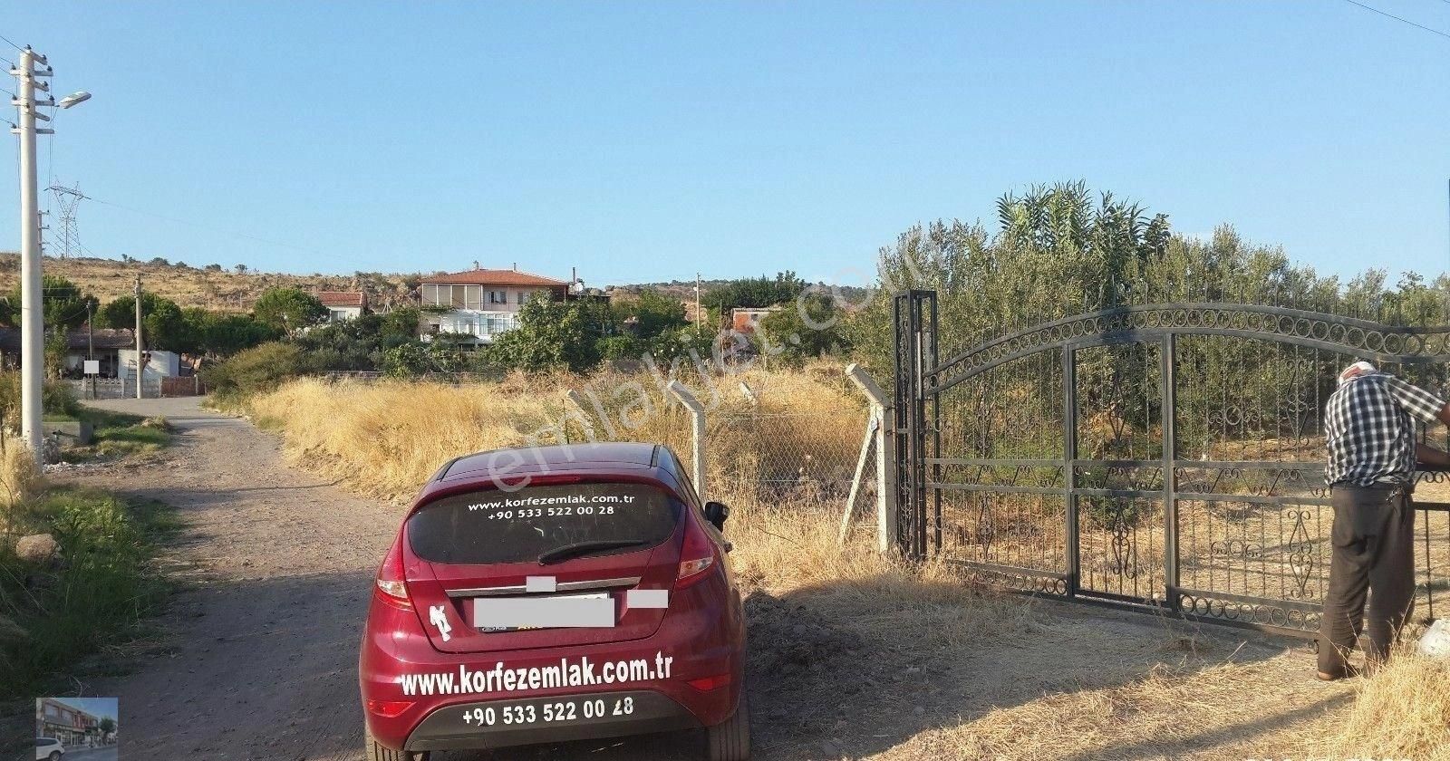 İzmir Dikili De Satılık 41 Donum Cıftlik. - Görsel 2