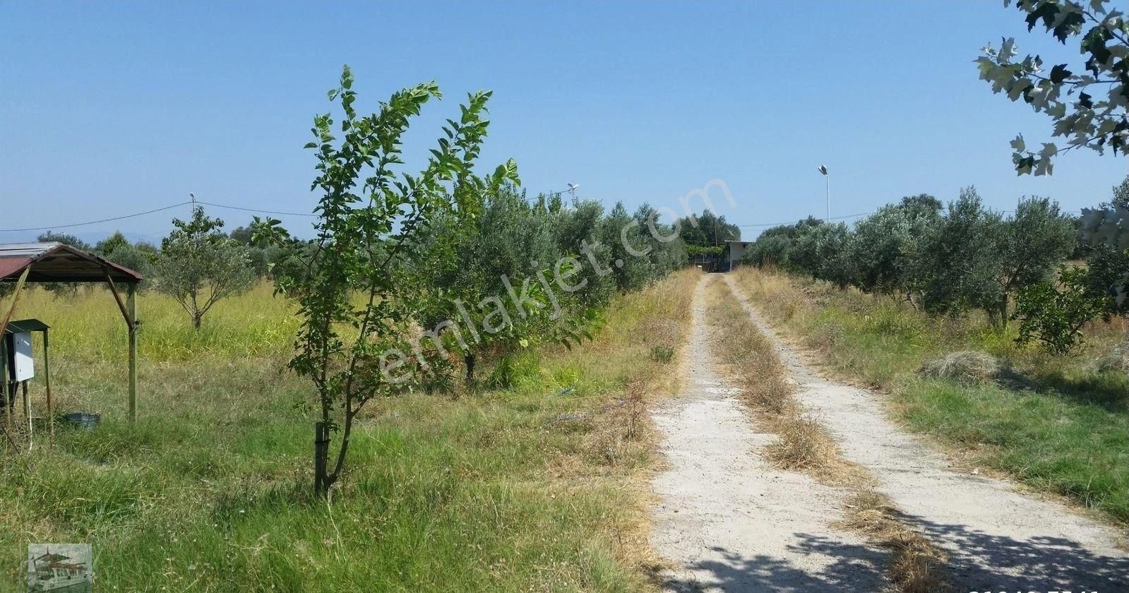 Balıkesir Burhaniye De Satılık Modern At Ciftliği - Görsel 2