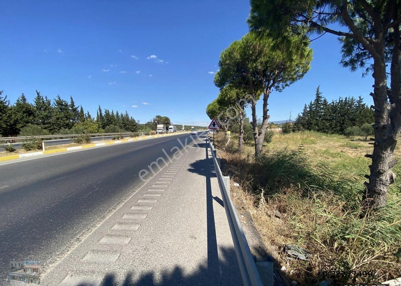 Balıkesir Ayvalık Ta Satılık 10 Donum Tarla - Görsel 8