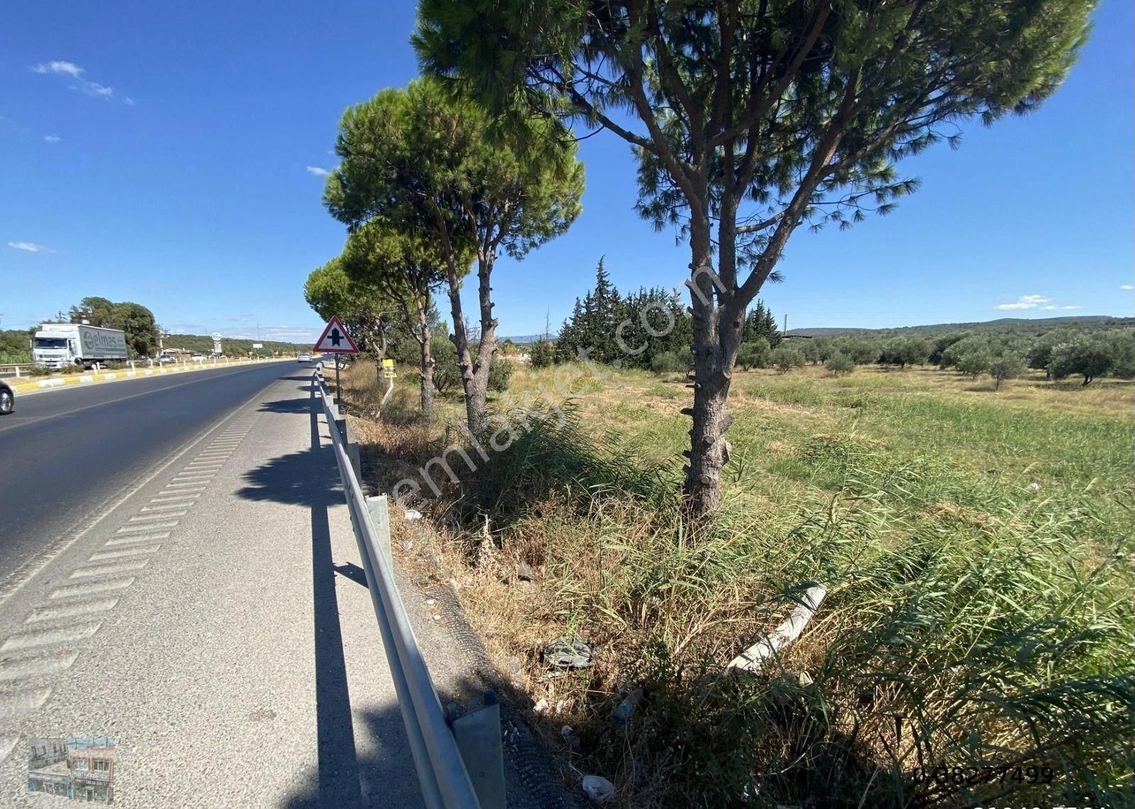 Balıkesir Ayvalık Ta Satılık 10 Donum Tarla - Görsel 6