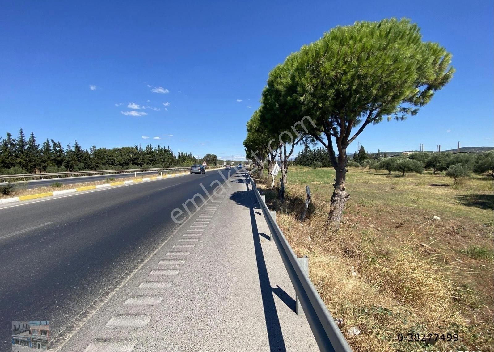 Balıkesir Ayvalık Ta Satılık 10 Donum Tarla - Görsel 9