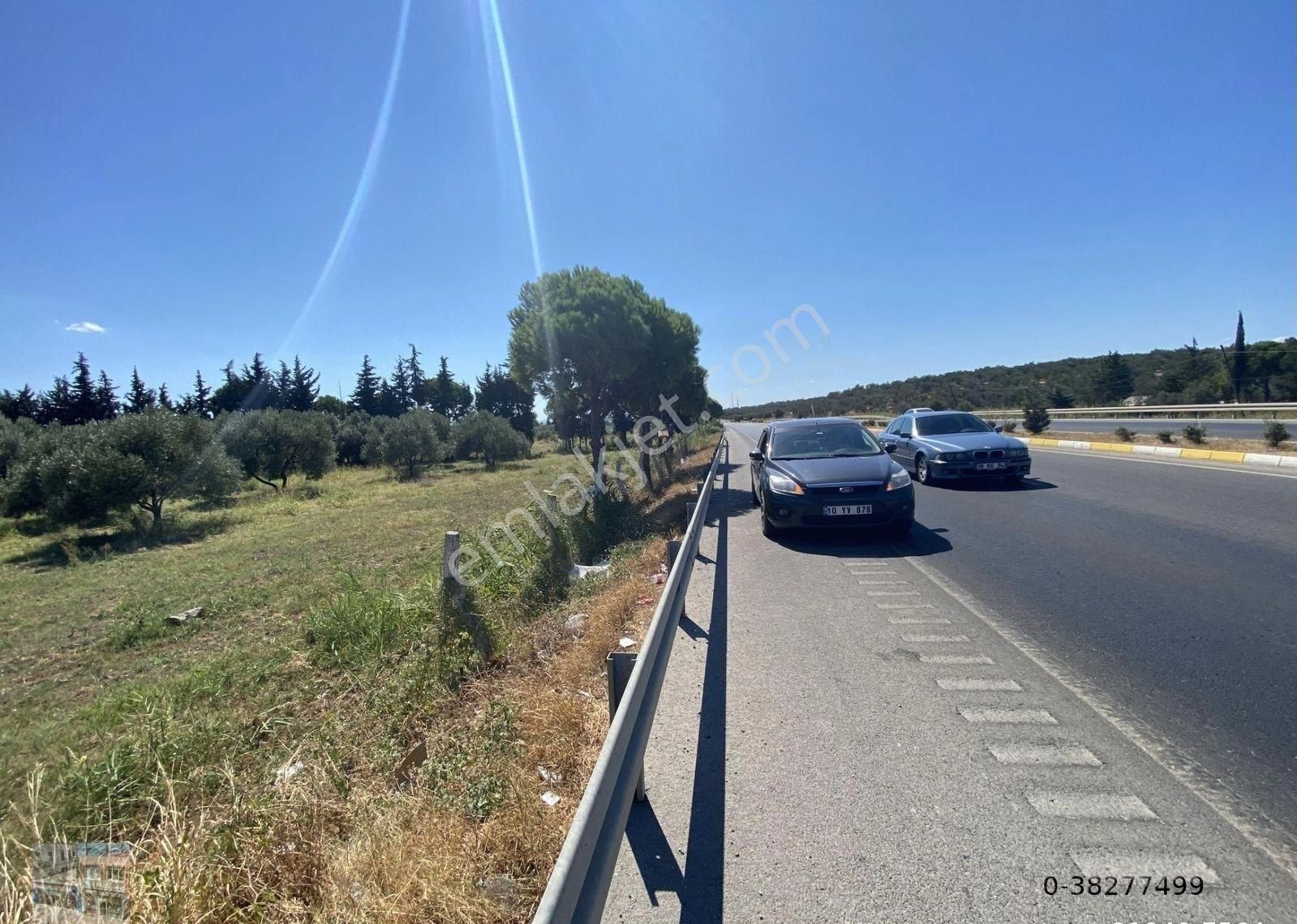 Balıkesir Ayvalık Ta Satılık 10 Donum Tarla - Görsel 7