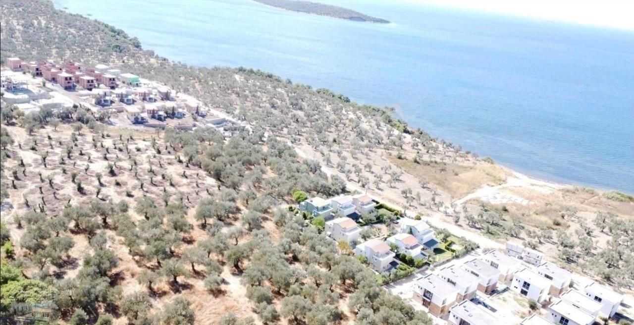 Balıkesir Gömeç Te Satılık 4,000 Metre Kare Villa İmarlı Arsa. - Görsel 3