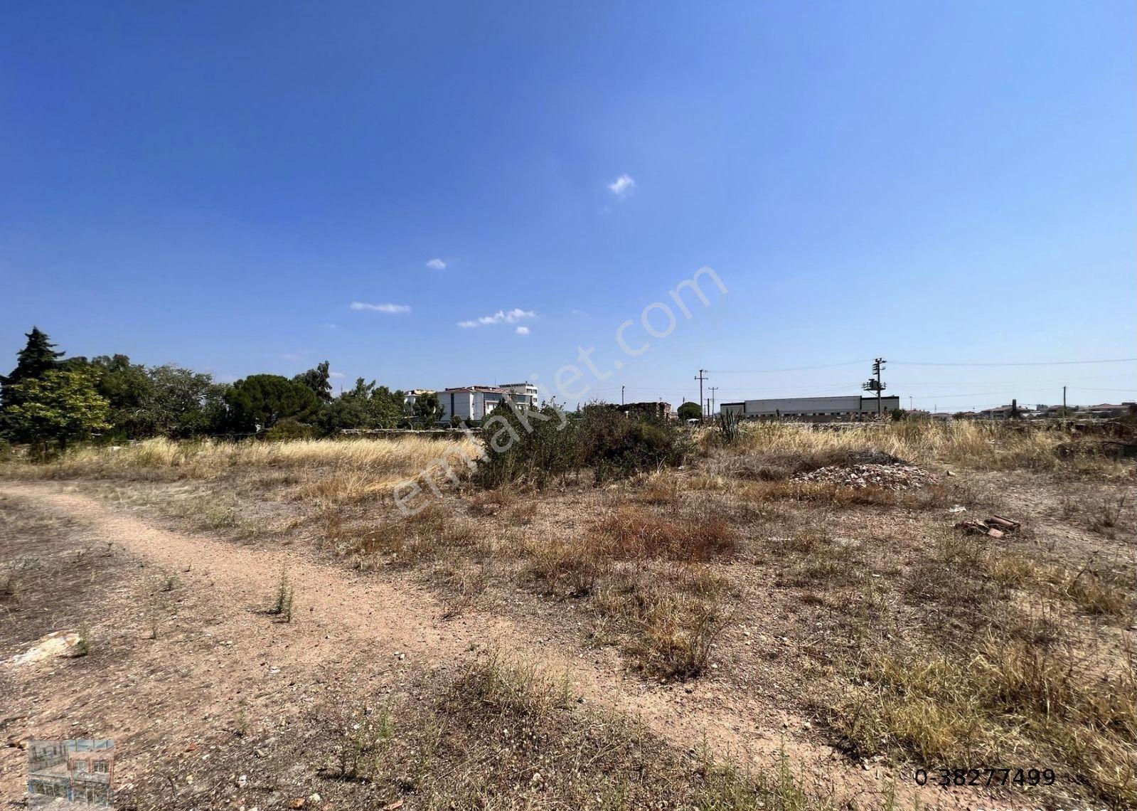 Ayvalık Ta Satılık 1538 Metre Kare Konut-turizm İmarlı Arsa - Görsel 7