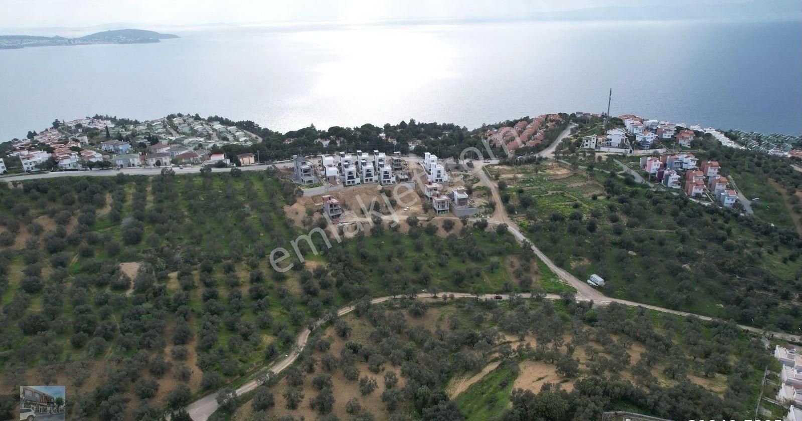 Balıkesir Burhaniye Pelitköy De Satılık 12 Donum Arsa. - Görsel 10