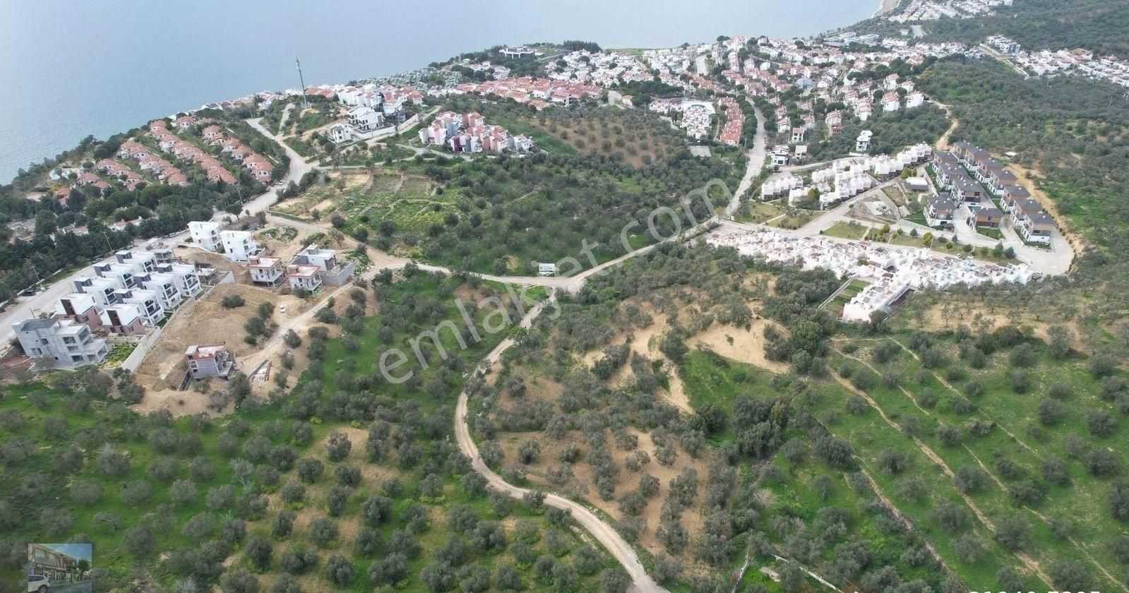 Balıkesir Burhaniye Pelitköy De Satılık 12 Donum Arsa. - Görsel 2