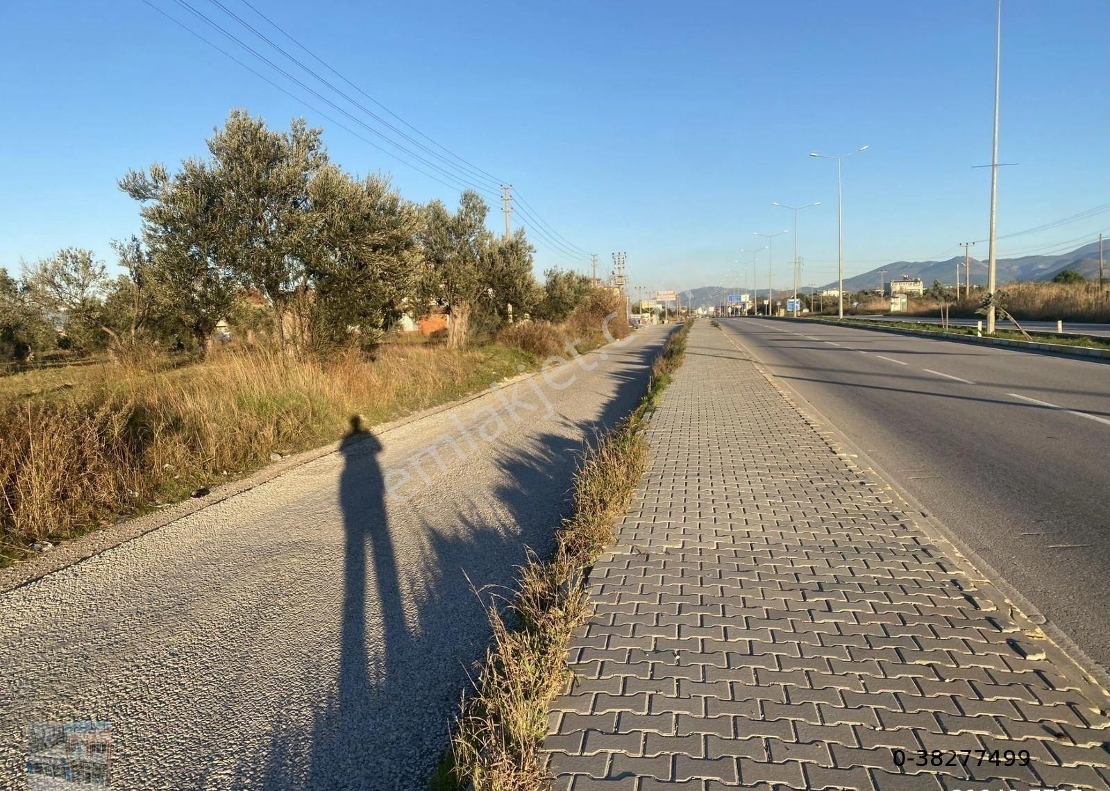 Balıkesir Burhaniye De Satılık 10,5 Donum Arsa.ana Yola Cepheli. - Görsel 12