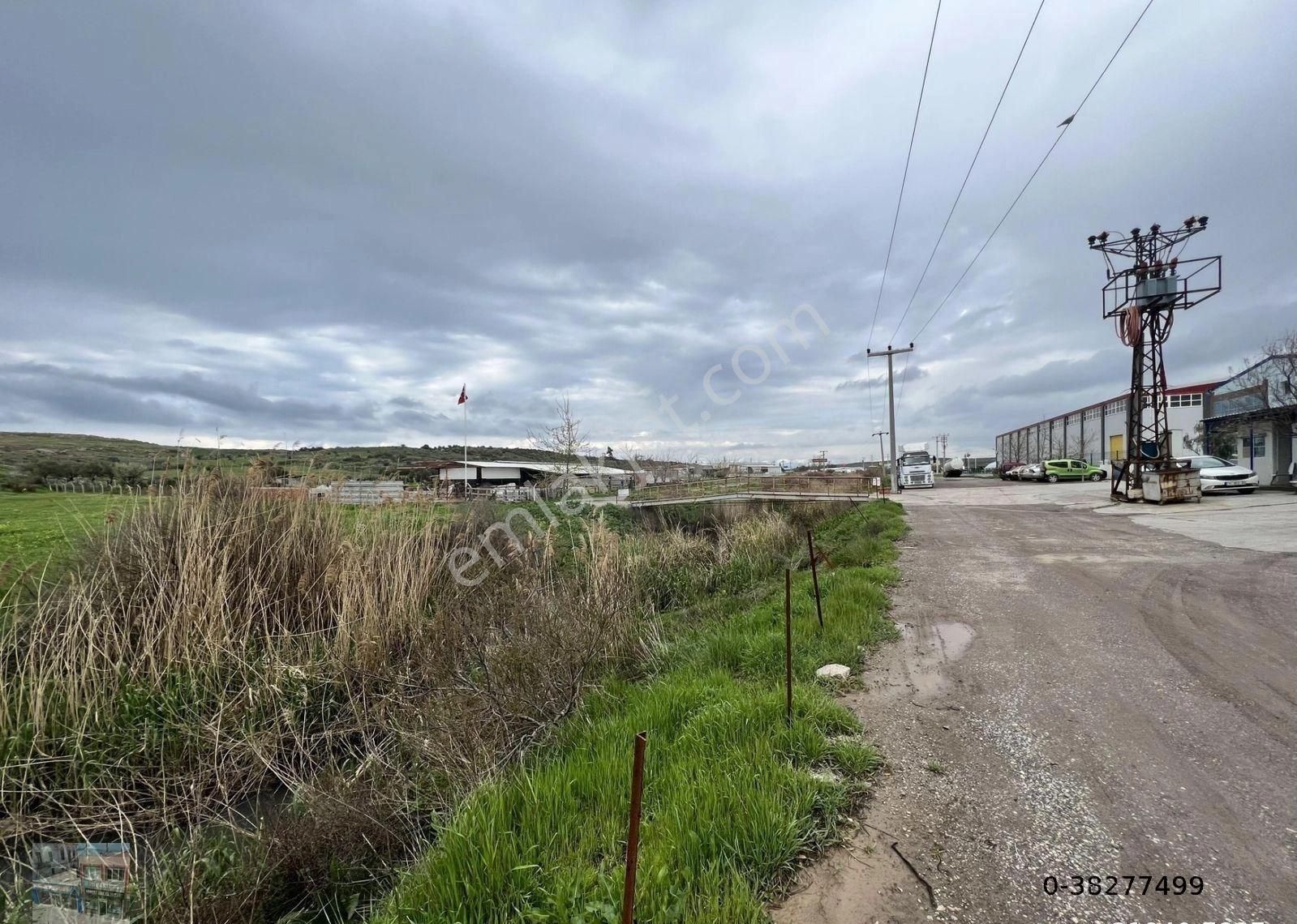 Balıkesir Ayvalık Ta Satılık 46 Donum Arsa - Görsel 11