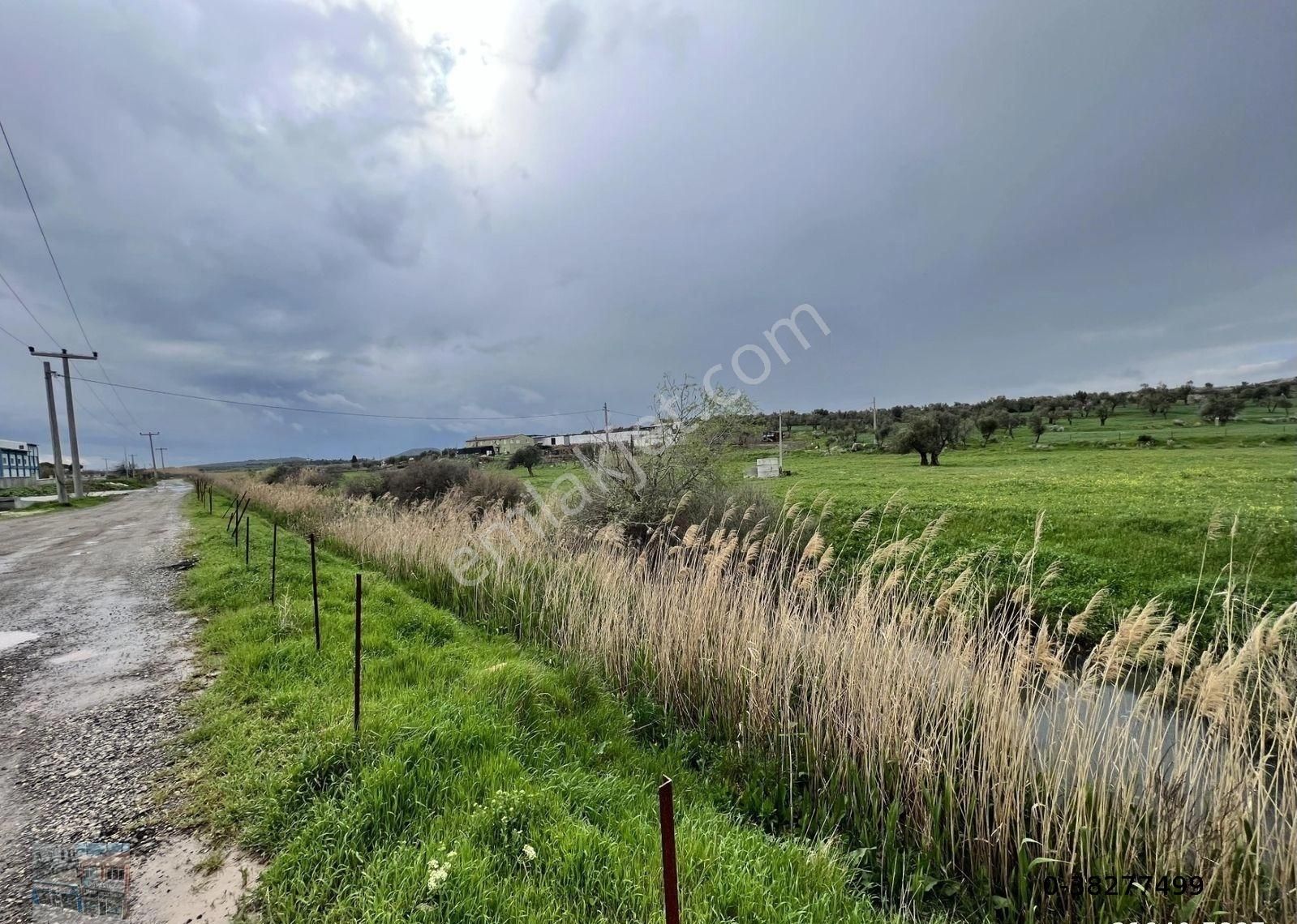 Balıkesir Ayvalık Ta Satılık 46 Donum Arsa - Görsel 10