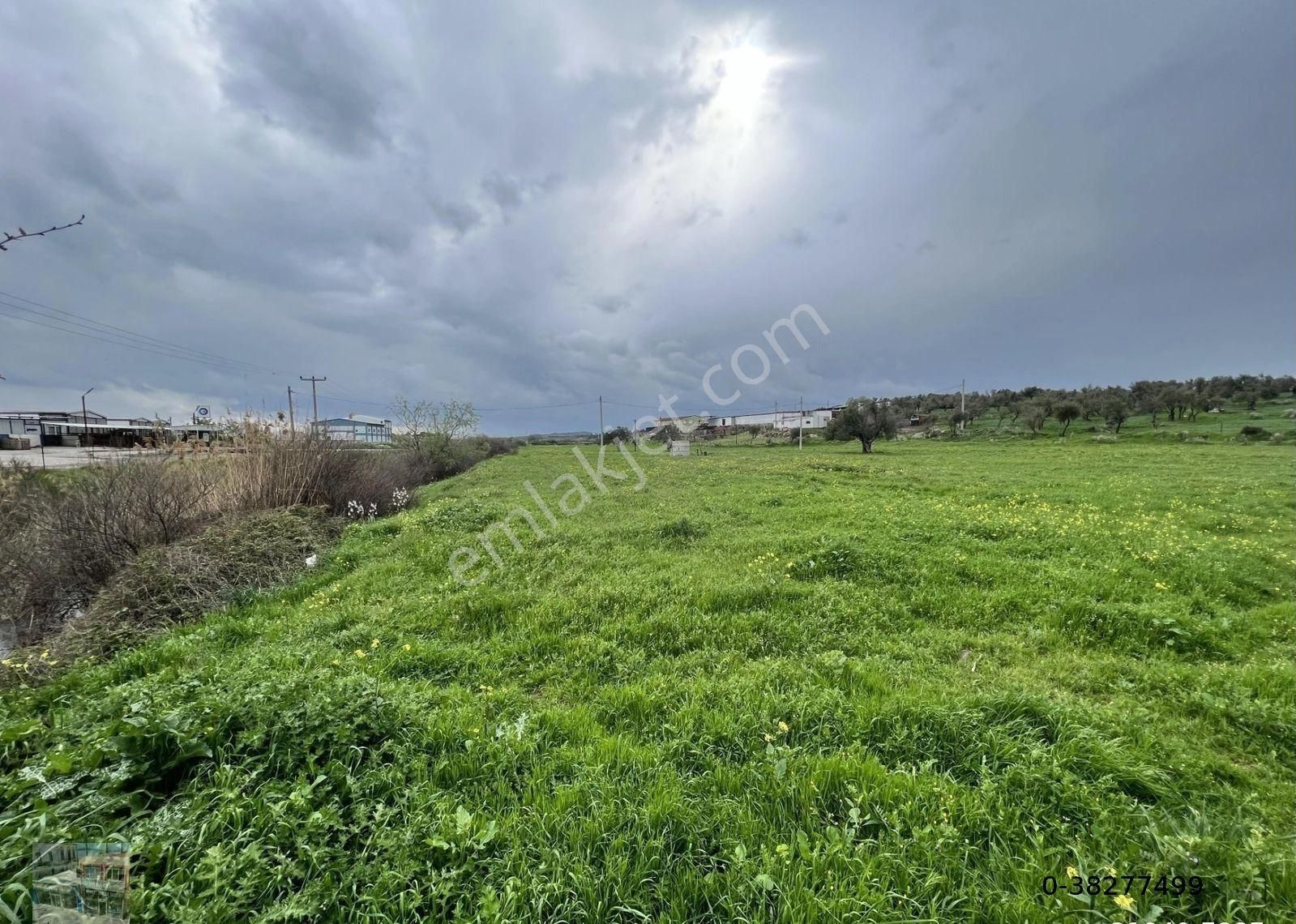 Balıkesir Ayvalık Ta Satılık 46 Donum Arsa - Görsel 5