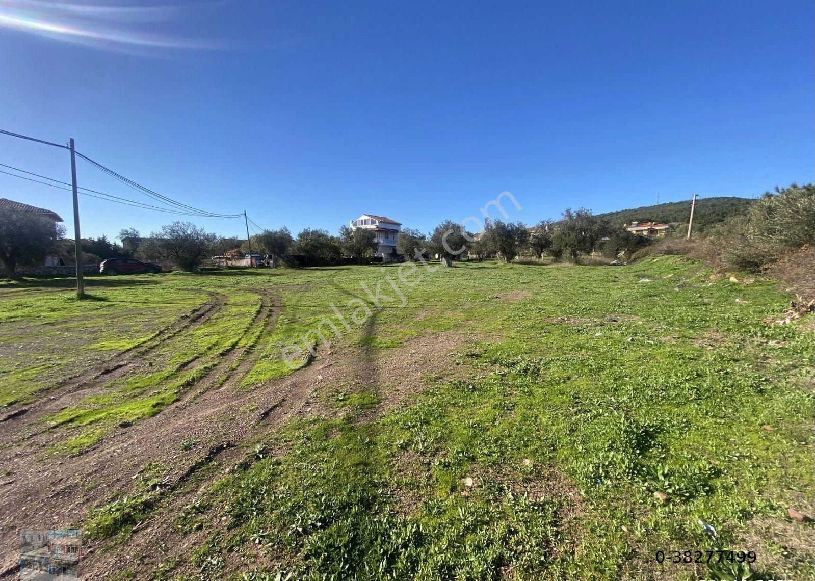 Ayvalık Cunda Da Satılık 3479 Metre Kare Arsa - Görsel 9
