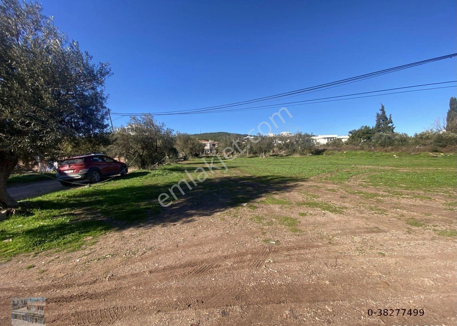 Ayvalık Cunda Da Satılık 3479 Metre Kare Arsa - Görsel 7