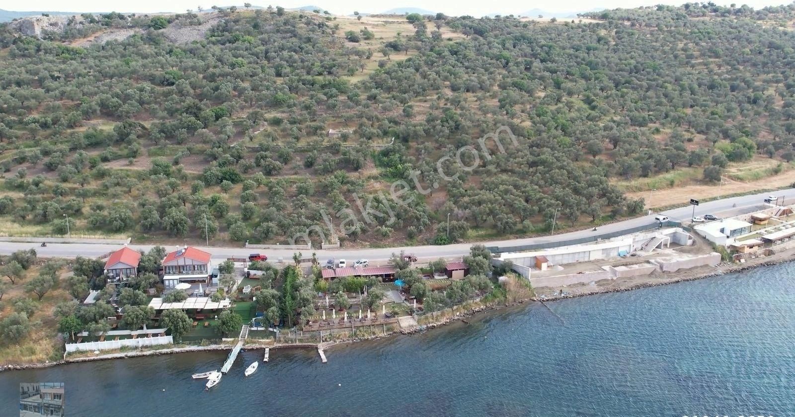 Balıkesir Ayvalık Cunda Da Satılık 7 Donum Arsa.denize Sıfır. - Görsel 6