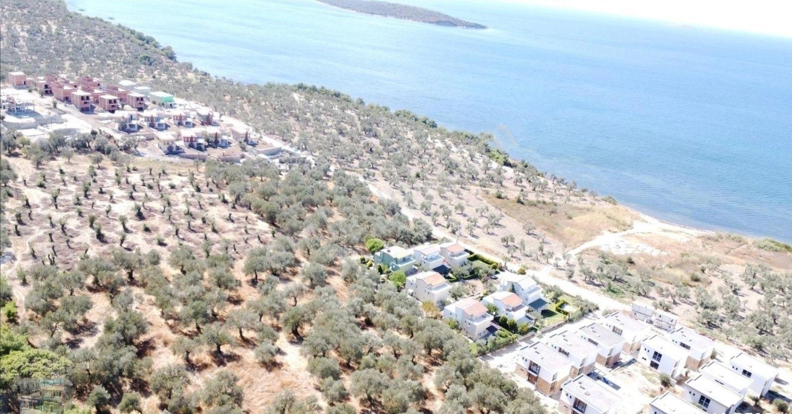 Balıkesir Gömeç Te Satılık 4,000 Metre Kare Villa İmarlı Arsa - Görsel 3