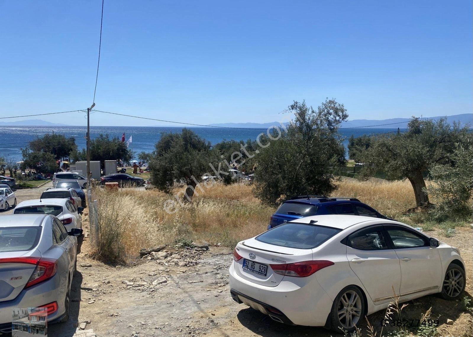 Balıkesir Burhaniye De Satılık 862 Metre Kare Villa İmarlı Arsa.denize Sıfır. - Görsel 7