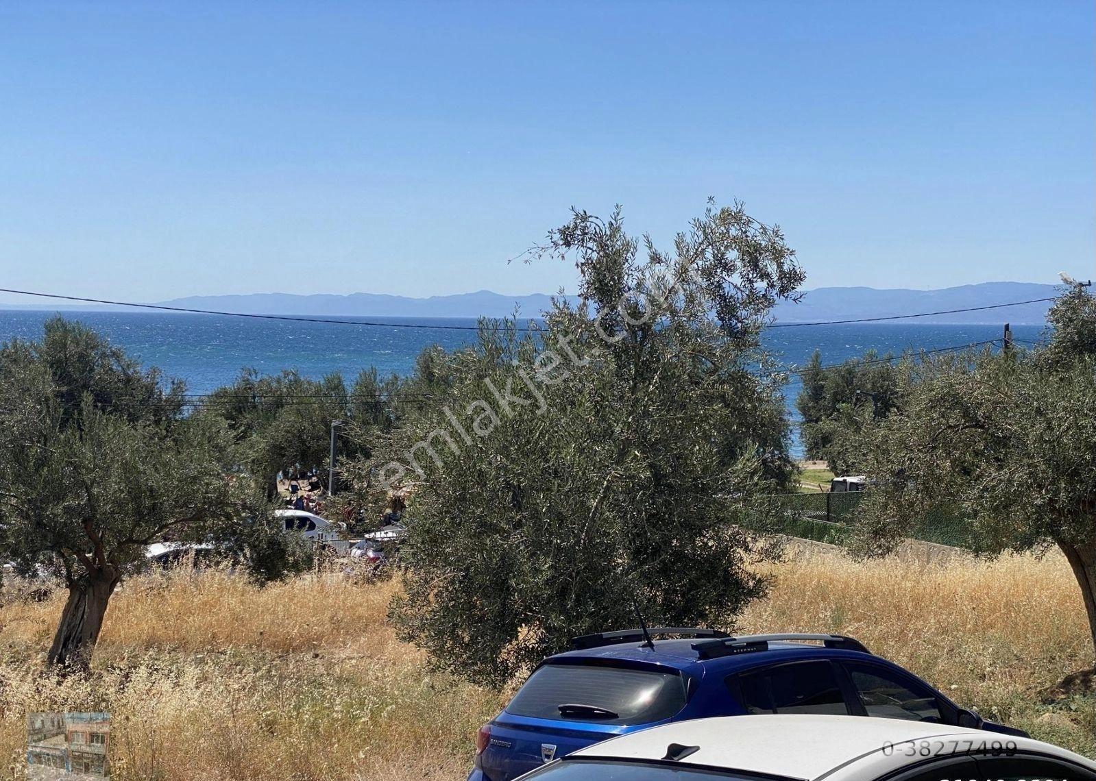 Balıkesir Burhaniye De Satılık 862 Metre Kare Villa İmarlı Arsa.denize Sıfır. - Görsel 8