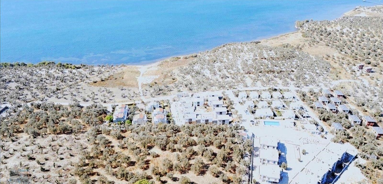 Balıkesir Gömeç Te Satılık 7716 Metre Kare Villa İmarlı Arsa - Görsel 11