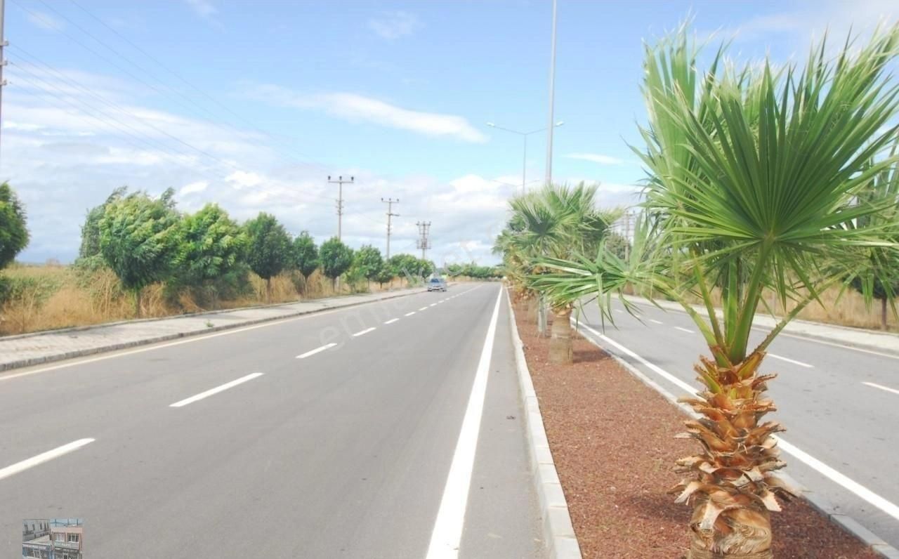 Balıkesir Ayvalık Altınova Da Satılık 37,200 Metre Kare Tarla