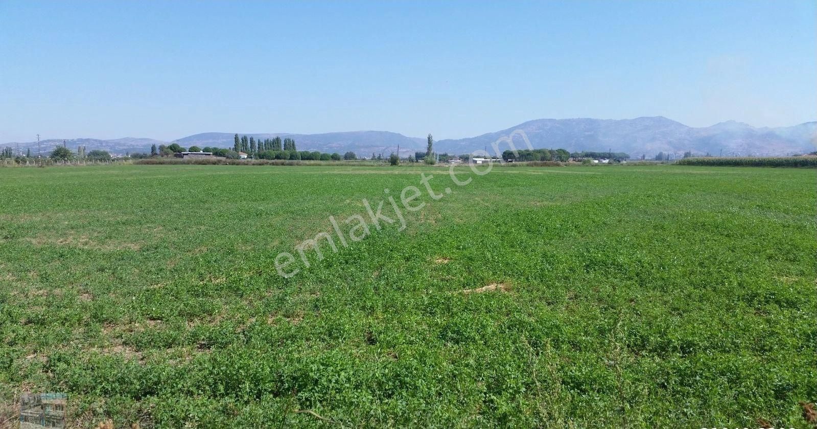 Balıkesir Ayvalık Altınova Da Satılık 100 Dönüm Tarla.sahil Yoluna 300 Metre Mesafededir