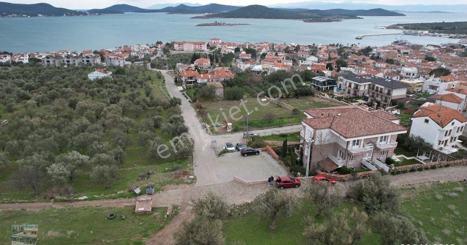 Balıkesir Ayvalık Cunda Da Satılık 2,700 Metre Kare Zeytinlik.denize 550 Metre Mesafededir. - Görsel 6