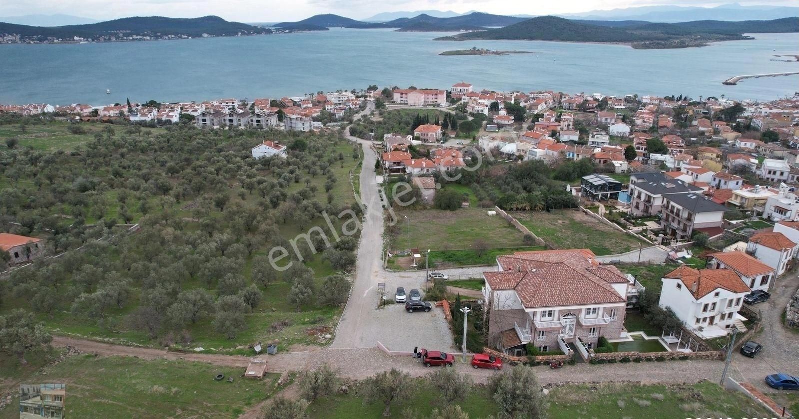 Balıkesir Ayvalık Cunda Da Satılık 2,700 Metre Kare Zeytinlik.denize 550 Metre Mesafededir. - Görsel 12