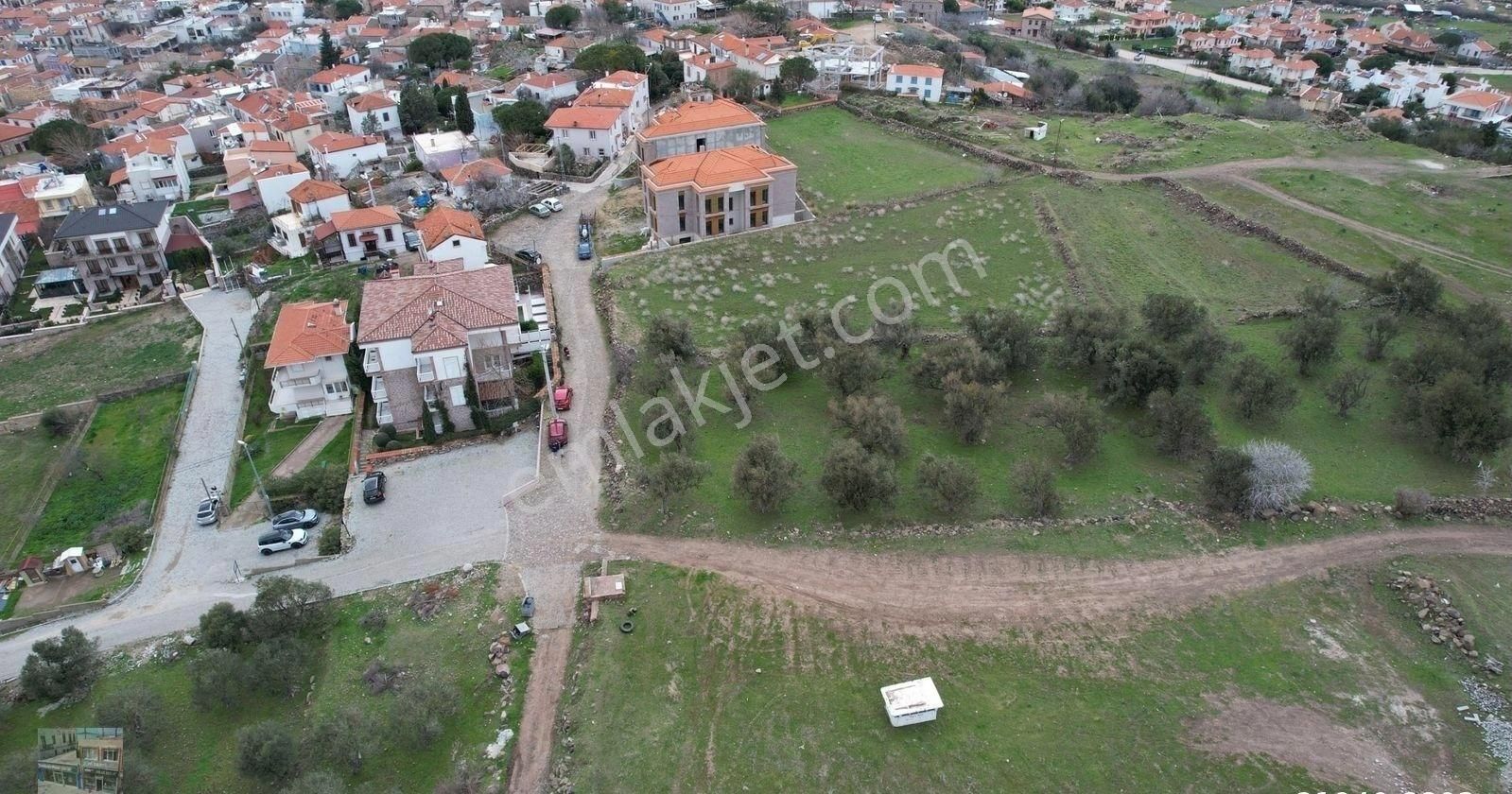 Balıkesir Ayvalık Cunda Da Satılık 2,700 Metre Kare Zeytinlik.denize 550 Metre Mesafededir. - Görsel 2