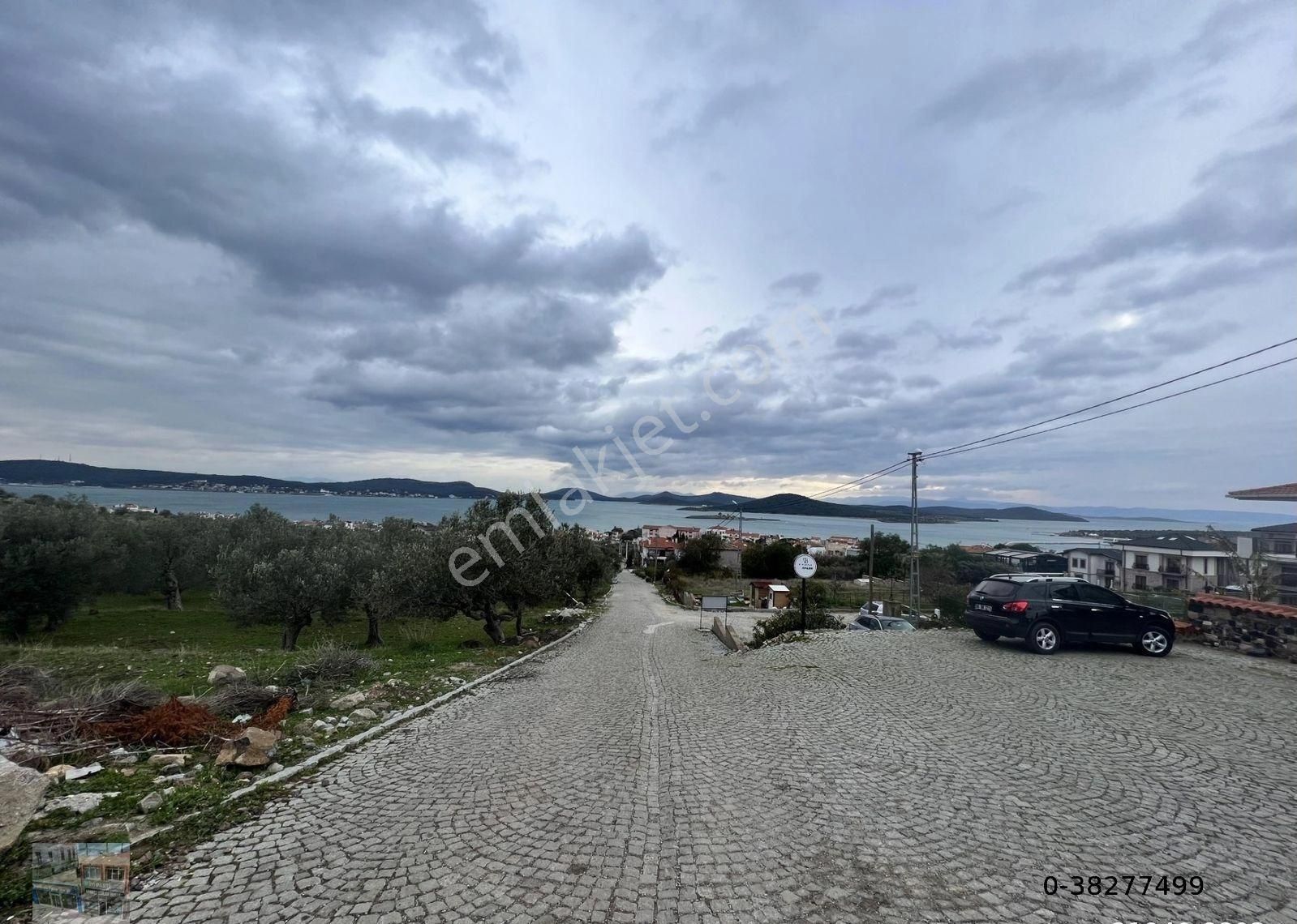 Balıkesir Ayvalık Cunda Da Satılık 2,700 Metre Kare Zeytinlik.denize 550 Metre Mesafededir. - Görsel 3