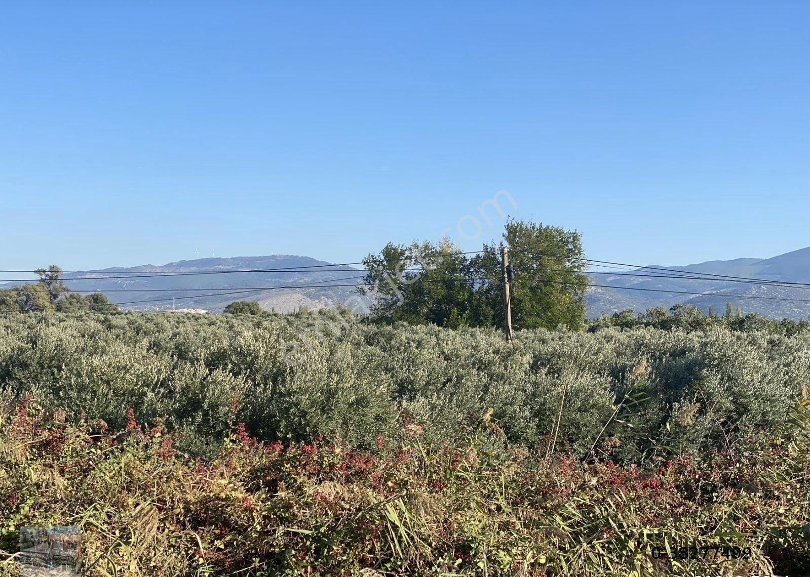 Balıkesir Edremit Te Satılık 19,500 Metre Kare Arsa.yola Cephe - Görsel 13