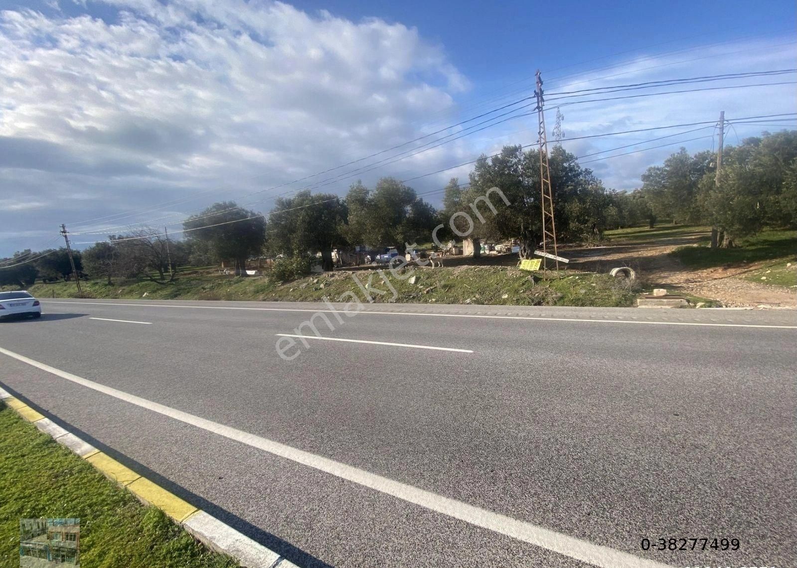 Balıkesir Ayvalık Ta Satılık 30,252 Metre Kare Arsa.ana Yola Cepheli