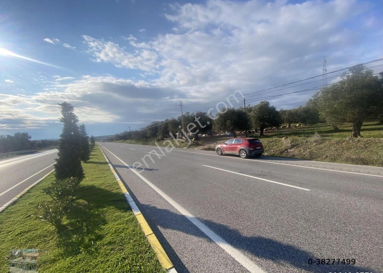 Balıkesir Ayvalık Ta Satılık 30,252 Metre Kare Arsa.ana Yola Cepheli - Görsel 9